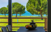 Vue depuis la terrasse du Park Riviera Adria Blue Seaside, Camping Park Umag, avec arbres et mer bleue.