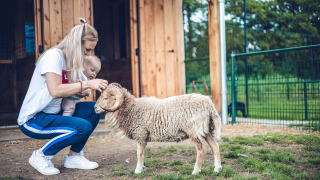 Kinderboerderij met geit - Vakantiepark Ackersate - Voorthuizen, Gelderland, Nederland