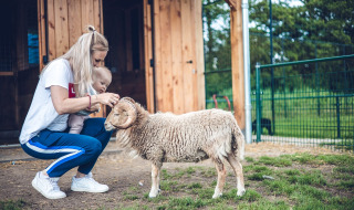 Zoo de mascotas con cabra - Parque de vacaciones Ackersate - Voorthuizen, Güeldres, Países Bajos