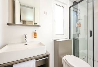 Moderne badkamer met douche, wastafel, spiegel en toilet bij Amber Luxury Holiday Home in Kroatië.