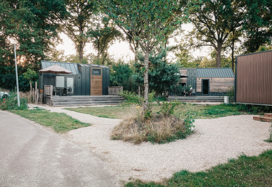 Petites maisons modernes en bois entourées d’arbres, photo prise à Tiny House en fin de journée.