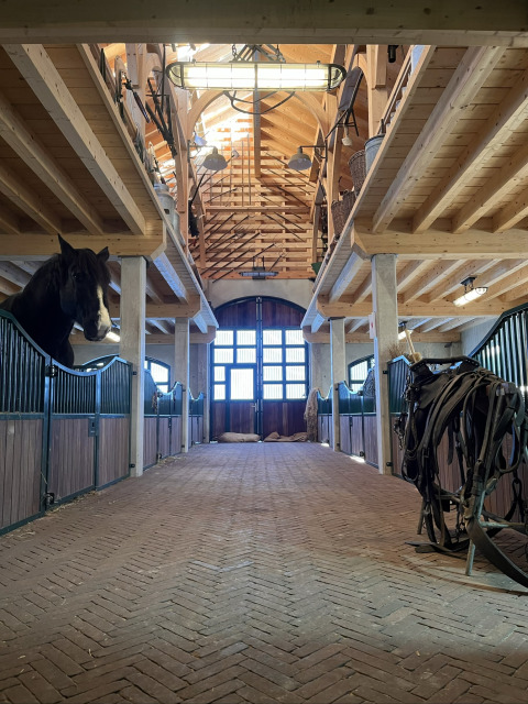 Interior view of a spacious horse stable with horses in stalls and gear at Camping Fuussekaul, Wiltz.