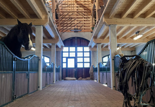Binnenzicht van een grote paardenstal met paarden op stal en uitrusting bij Camping Fuussekaul, Wiltz.