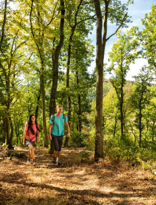 Twee personen wandelen op een zonnig bospad bij Heiderscheid, Wiltz, Luxemburg, tussen groene bomen.