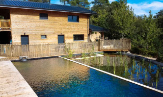 Piscina natural y edificio de madera en el parque de vacaciones Bivouac Nature en Occitania, Francia, rodeado de árboles.