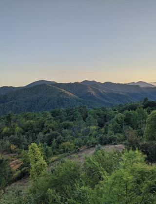 Vista de bosques verdes y colinas al atardecer desde Bivouac nature, parque vacacional en Occitanie, Francia.