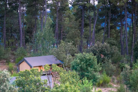 A cozy tent cabin in Bivouac Nature holiday park, Occitanie, France, nestled among dense green forest.