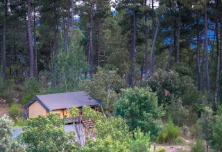 Et hyggeligt telt i Bivouac Nature feriepark i Occitanie, Frankrig, omgivet af frodig skov og træer.
