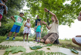 Kinder und ein Erwachsener entdecken gemeinsam Blätter in der Natur im Bivouac nature Ferienpark, Occitanie.