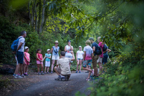 Famiglie e bambini ascoltano una guida durante una passeggiata a Bivouac nature, parco vacanze in Occitania, Francia.