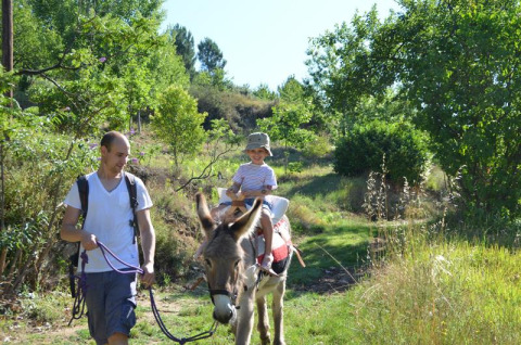A man leads a donkey carrying a smiling child along a sunny nature trail at Bivouac nature in Occitanie, France.