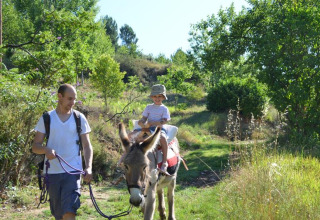 A man leads a donkey carrying a smiling child along a sunny nature trail at Bivouac nature in Occitanie, France.