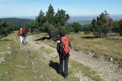 Excursionistas con mochilas recorren un sendero en Bivouac nature, un parque vacacional en Occitania, Francia.