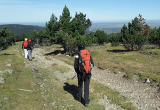 Vandrere med rygsække går gennem et grønt landskab ved Bivouac nature, en feriepark i Occitanie, Frankrig.