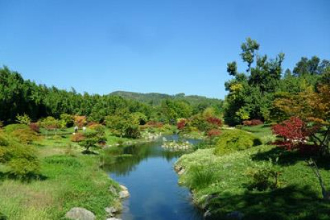 Vue du Bivouac nature, parc de vacances en Occitanie, France, avec verdure luxuriante et étang paisible.