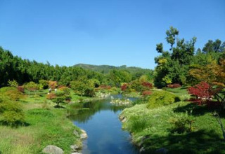 Vue du Bivouac nature, parc de vacances en Occitanie, France, avec verdure luxuriante et étang paisible.