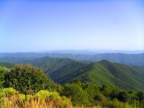 Vista panorámica de colinas verdes y cielo despejado desde Bivouac nature, un parque vacacional en Occitania, Francia.