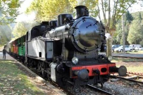 Locomotiva a vapore nel parco vacanze Bivouac nature, Occitania, Francia, circondata da alberi e auto.