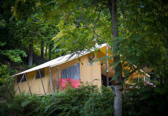 Tienda safari Canadienne con estufa de leña entre árboles, rodeada de vegetación verde y frondosa.