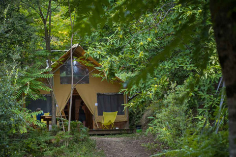 Cabane safari tent bij Bivouac nature in Frankrijk, omgeven door weelderig groen en bos.
