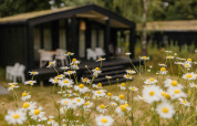 Wilde bloemen voor het The Hills met Hottub lodge bij Wilsumer Berge, Duitsland, met wazige achtergrond.