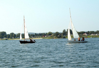 Bateaux à voile sur le lac - Lacs Rhederlaagse - Lathum, Gelderland, Pays-Bas