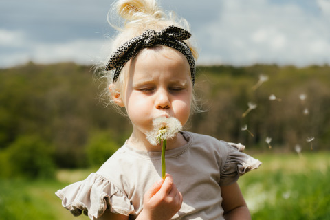 Niña con diadema sopla un diente de león en Camping Liefrange en Wiltz, Luxemburgo.