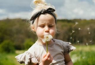 Niña con diadema sopla un diente de león en Camping Liefrange en Wiltz, Luxemburgo.