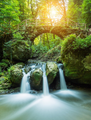 Kleine Steinbrücke im grünen Wald über Wasserfall bei Liefrange, Wiltz, Luxemburg im warmen Sonnenlicht.