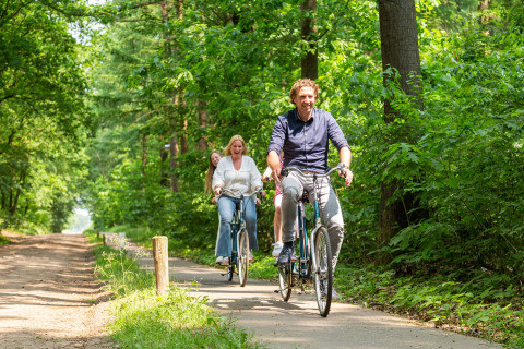 Cyclisme dans la nature - Recreatiepark 't Gelloo - Ede, Gelderland, Pays-Bas