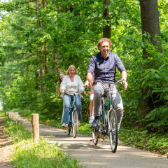 Ciclismo en la naturaleza - Recreatiepark 't Gelloo - Ede, Gelderland, Países Bajos