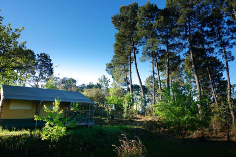 Tente safari Baroudeur au Bivouac nature en France, entourée de grands arbres et d’un ciel bleu limpide.