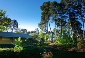 Tienda safari Baroudeur en Bivouac nature, Francia, rodeada de árboles altos y cielo azul despejado.