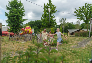Bambini giocano e si dondolano su una teleferica in un parco vacanze circondato dal verde ad Ackersate, Gelderland.