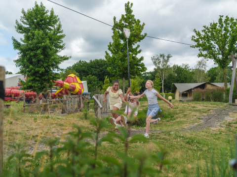 Børn leger og svinger på en kabelbane i en feriepark omgivet af grønne træer i Ackersate, Gelderland.