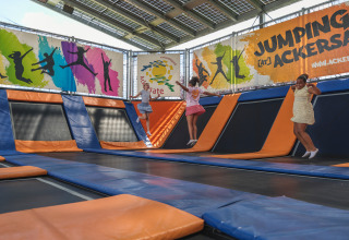 Niños saltando y jugando en trampolines bajo techo en Holiday park Ackersate, Gelderland, Países Bajos.