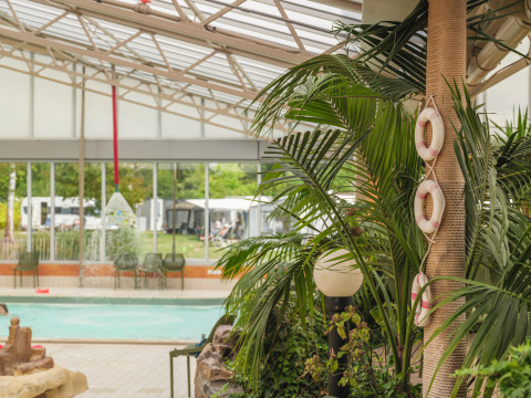 Indoor swimming pool with life rings and lush green plants at Holiday park Ackersate, Gelderland, Netherlands.