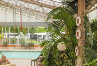 Piscine intérieure avec bouées et plantes chez Holiday park Ackersate, dans le Gelderland, Pays-Bas.