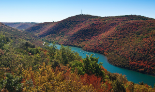 Un fiume serpeggia tra le colline boscose vicino a Tar, in Istria, Croazia, circondato da foglie colorate.