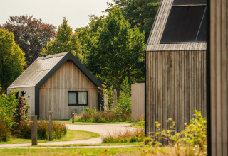 Moderne Holzhütten in einer ruhigen Ferienanlage mit Wegen und üppigen grünen Bäumen ringsum.