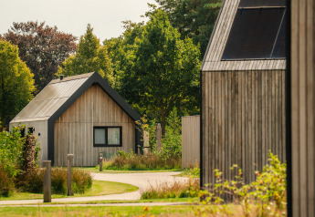 Modernas cabañas de madera en un lodge rodeado de vegetación y árboles, con senderos tranquilos.