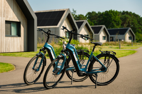 Twee blauwe elektrische fietsen staan op een oprit voor moderne houten huisjes met zonnepanelen op het dak.