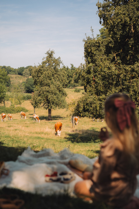 Donna con fiocco fa un picnic all’ombra osservando le mucche al pascolo in un campo vicino a un lodge.