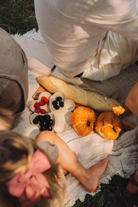 Udendørs picnic med baguette, croissanter, bær og frugt på tæppe ved Biebosch - Sunshower, Resort Mooi Bemelen.
