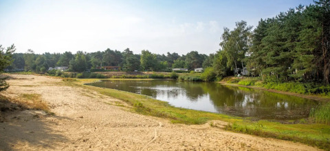 Camping GT Keiheuvel: View of a sandy beach and lake surrounded by forest, holiday park in Antwerp, Belgium.