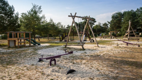 Udendørs legeplads med gynger, rutsjebaner og vipper i skovområde på Camping GT Keiheuvel i Belgien.