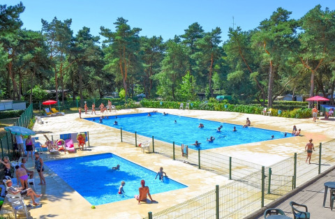 Buitenzwembaden bij Camping GT Keiheuvel in Antwerpen, België, omringd door bos en bezoekers in de zon.