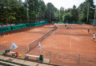 Campi da tennis al Camping GT Keiheuvel, parco vacanze in Anversa, Belgio, circondato da alberi verdi.