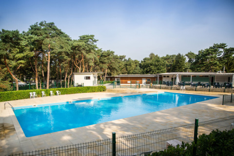 Outdoor swimming pool at a campsite surrounded by forest, Camping GT Keiheuvel, Antwerp, Belgium.
