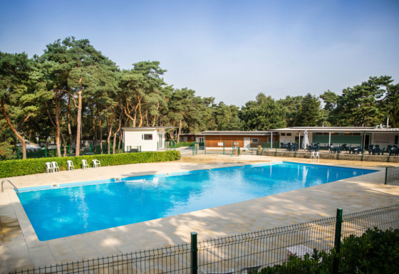 Außenpool auf einem Campingplatz mit Wald im Hintergrund, Camping GT Keiheuvel, Antwerpen, Belgien.